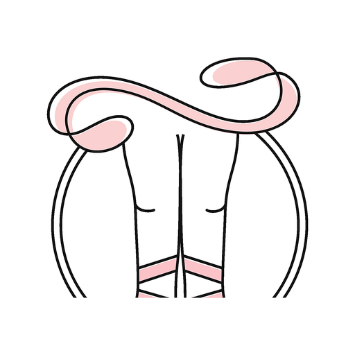 True Ballet